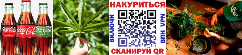 что такое наркотик  Судак  Печенье с ТГК марихуана 
