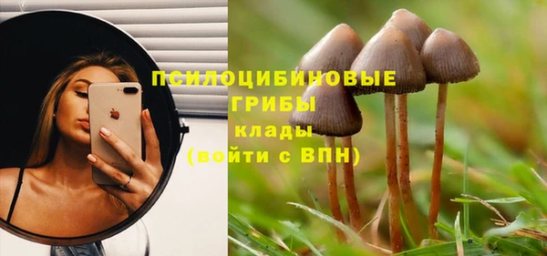 тгк Аркадак