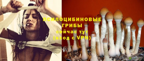 синтетический гашиш Армянск